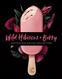 A pink coated ice cream bar with a bite missing, surrounded by deep red leaves and flowers on a black background.
