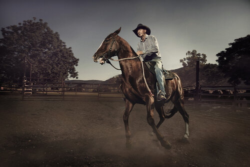 Elderly man riding a horse in a field under a blue sky. The horse is brown and the man is wearing a cowboy hat.