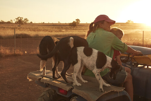 Woman and child riding a four-wheeler with three dogs in a rural setting at sunset, featuring golden light and an open field.