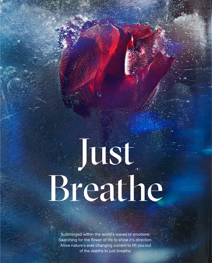Red rose frozen in ice with visible air bubbles and abstract blue background. Close-up image. Text overlay includes 'Just Breathe'.