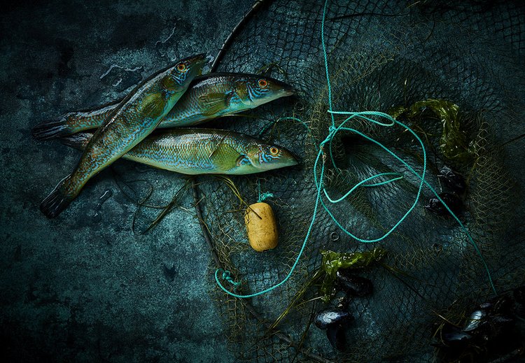 Three freshly caught fish are displayed on a textured dark blue surface alongside a fishing net and a yellow float. Close-up studio shot.
