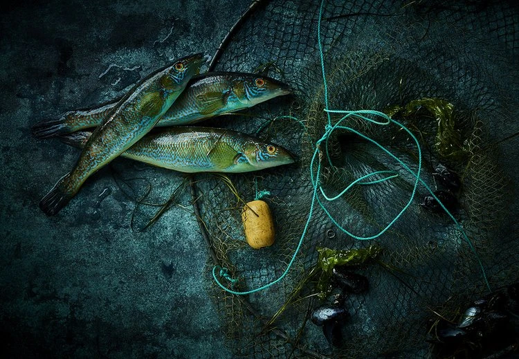 Three freshly caught fish are displayed on a textured dark blue surface alongside a fishing net and a yellow float. Close-up studio shot.