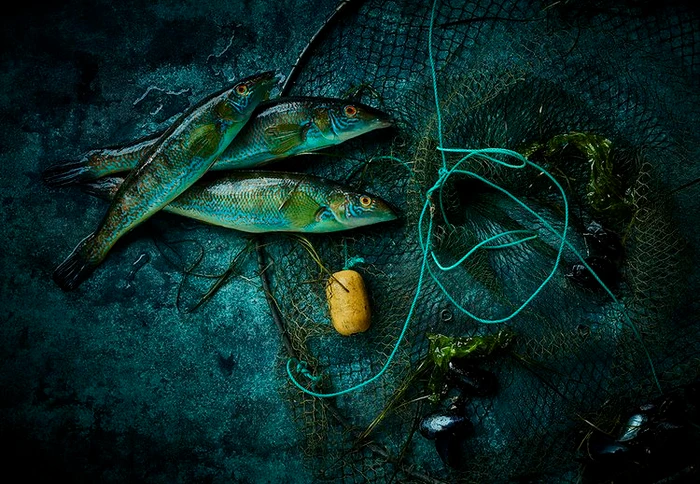 Three iridescent fish resting on a dark fishing net with a yellow float in Melbourne by photographer Mike Long.