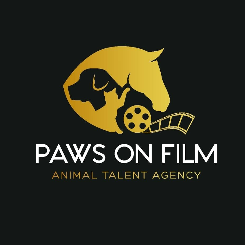 Paws On Film 