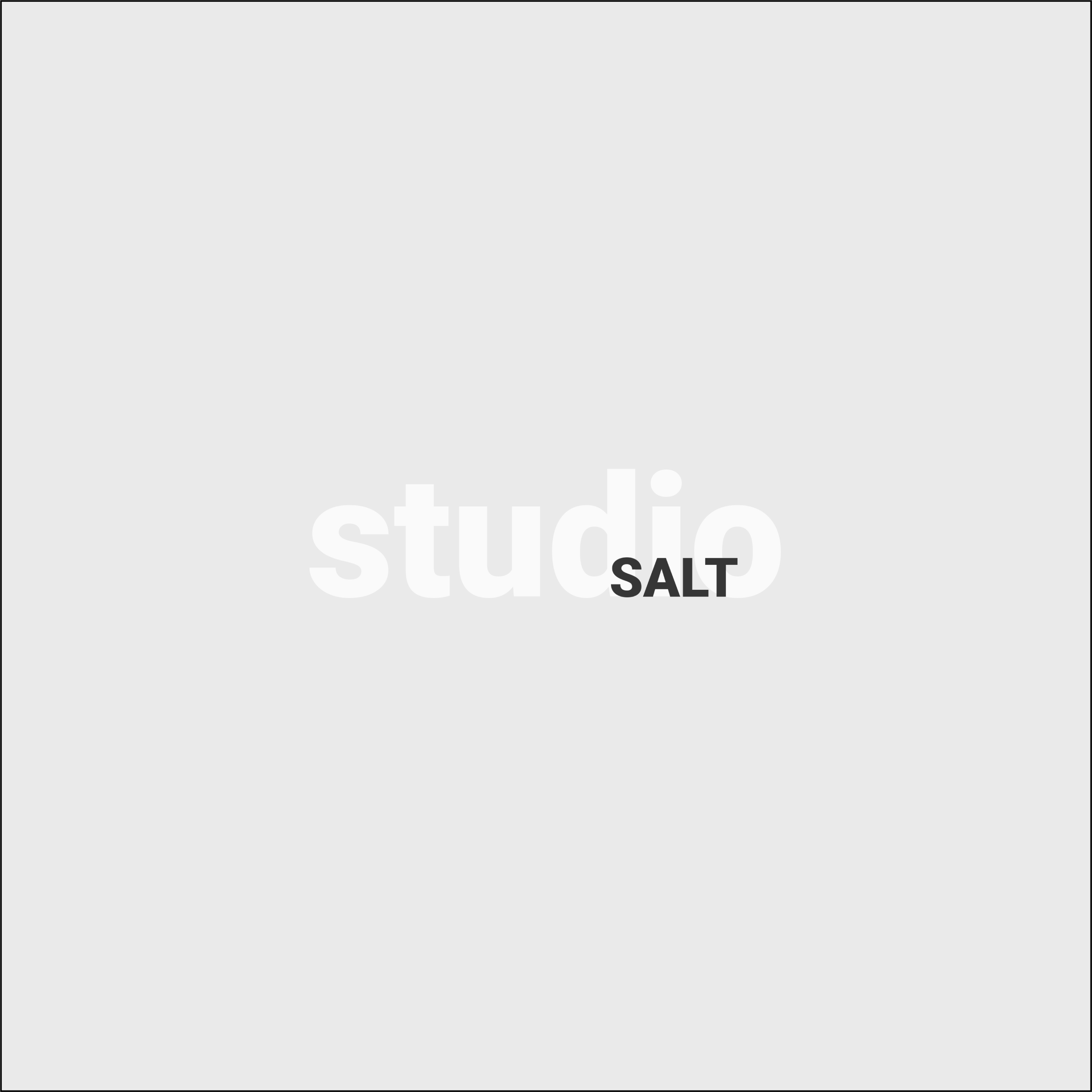 Studio Salt
