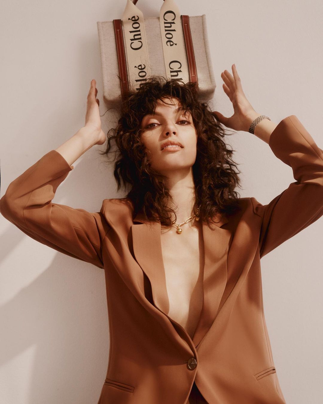 Brunette woman in a brown blazer poses in front of a white wall with a 'Chloe' branded handbag hanging above her.