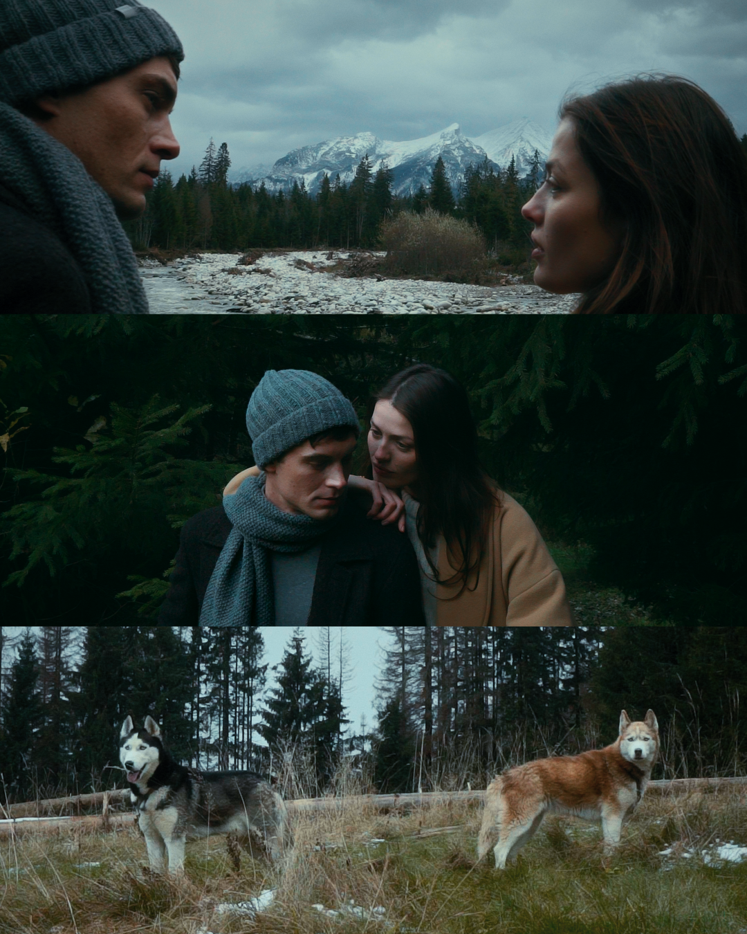 A cinematic triptych shows a couple looking at each other, embracing in a forest, and two husky dogs standing in a grassy field.