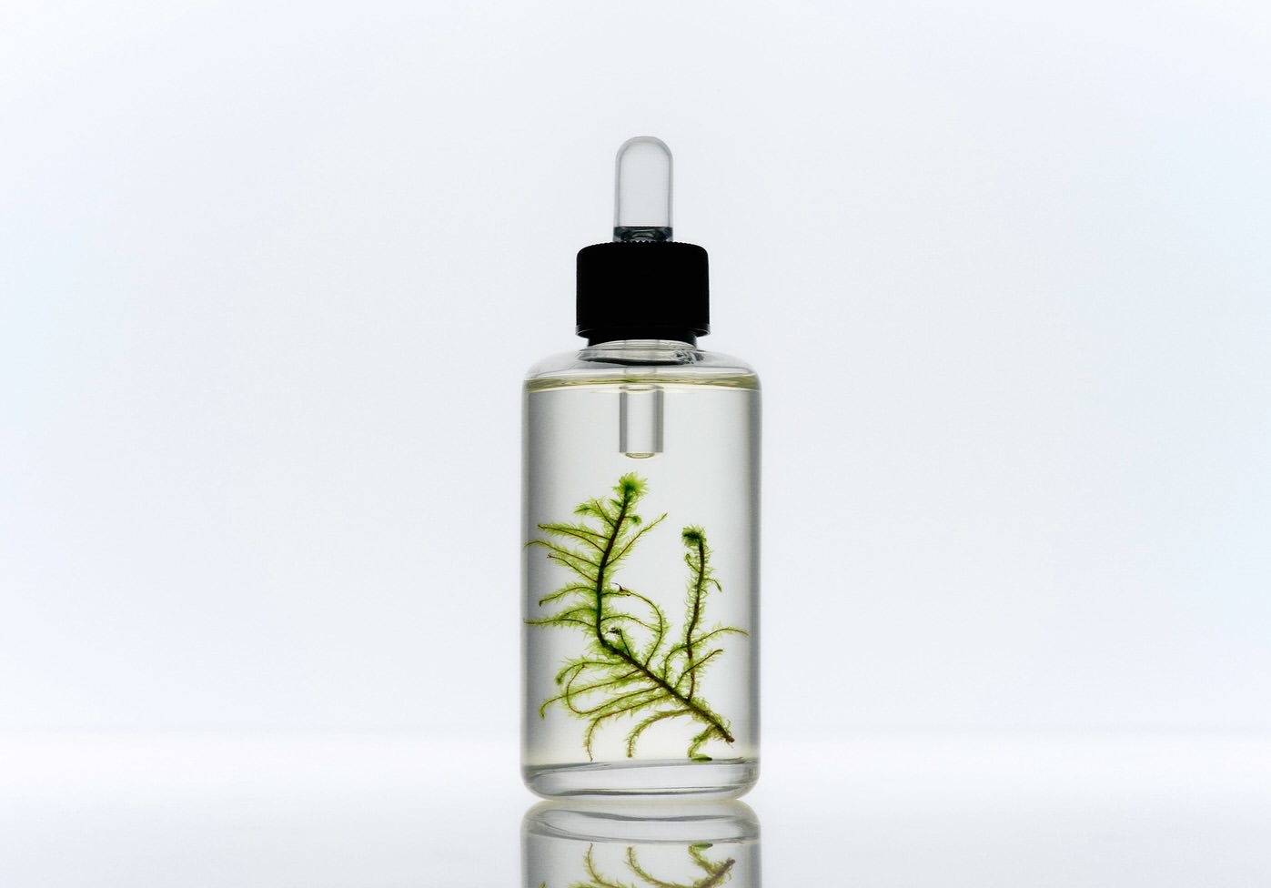 Clear glass dropper bottle filled with liquid and a green sprig inside, set against a bright, clean white background.