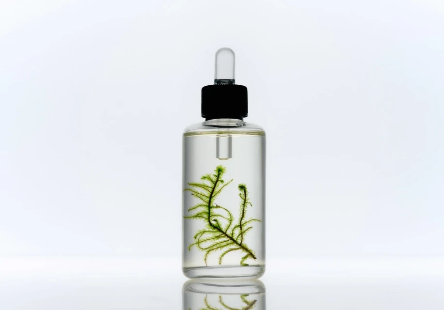 Clear glass dropper bottle filled with liquid and a green sprig inside, set against a bright, clean white background.