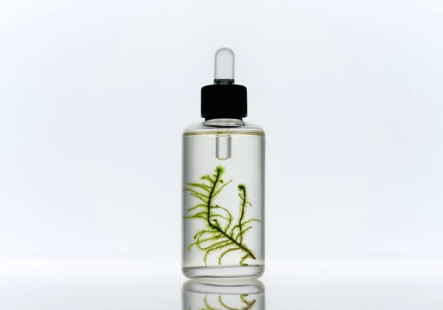 Clear glass dropper bottle filled with liquid and a green sprig inside, set against a bright, clean white background.
