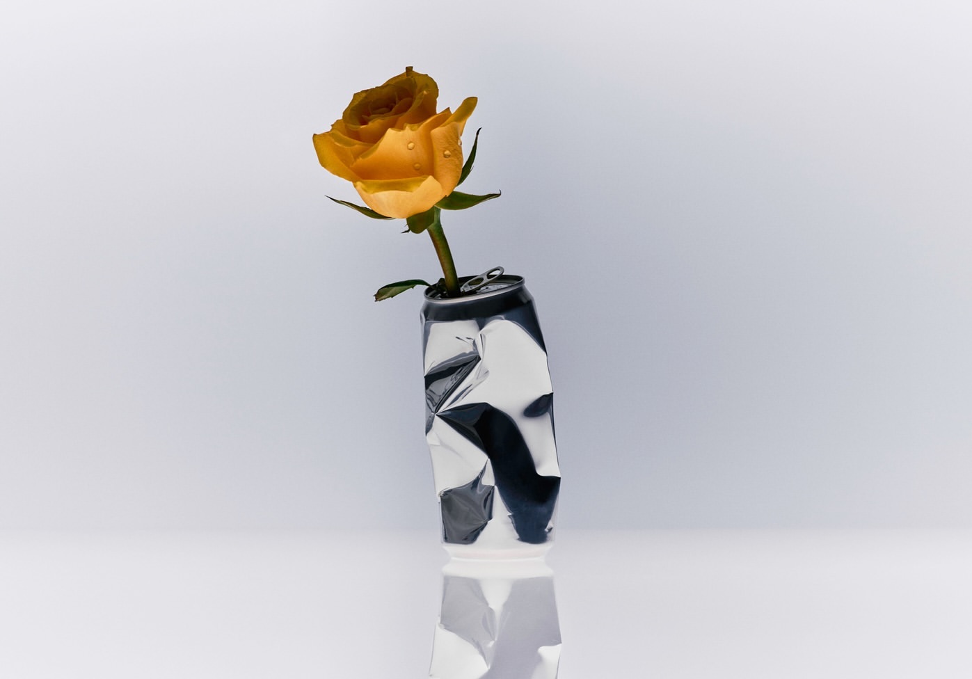 Still life of a single yellow rose with water droplets in a silver crushed aluminum can, placed on a white surface against a white background.