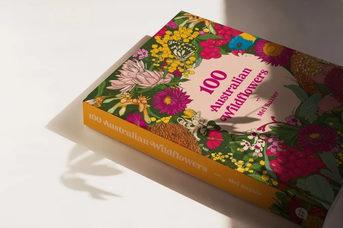 An illustrated book titled 100 Australian Wildflowers resting on a white surface with harsh morning shadows cast across it.