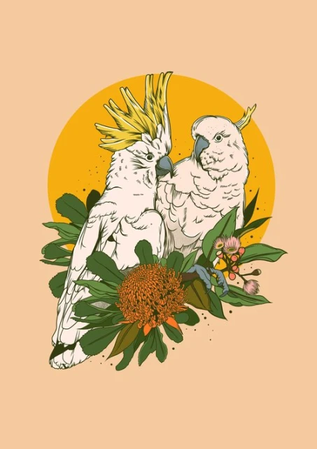 Illustration of two white cockatoos amidst green foliage and an orange banksia flower against a warm beige background with a gold sun.