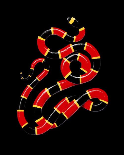 Illustration of a red, yellow, and black striped snake coiled against a stark black background, created using digital painting techniques.