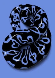 Glossy black looped tubular form with abstract blue patterns against a solid blue background