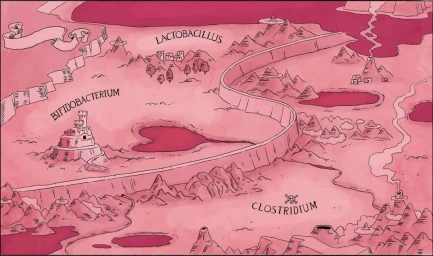 Illustrated fantasy map rendered in shades of pink with geographic labels including Bifidobacterium and Lactobacillus.