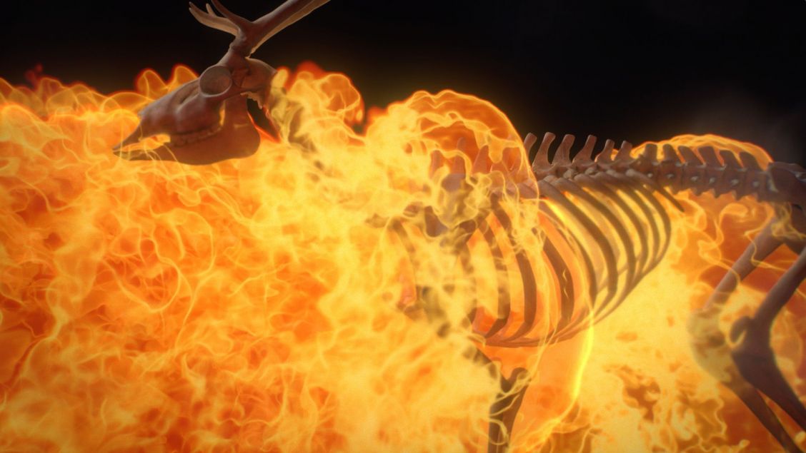 Digital rendering of a deer skeleton engulfed in stylized flames against a black background, showcasing animation and visual effects.