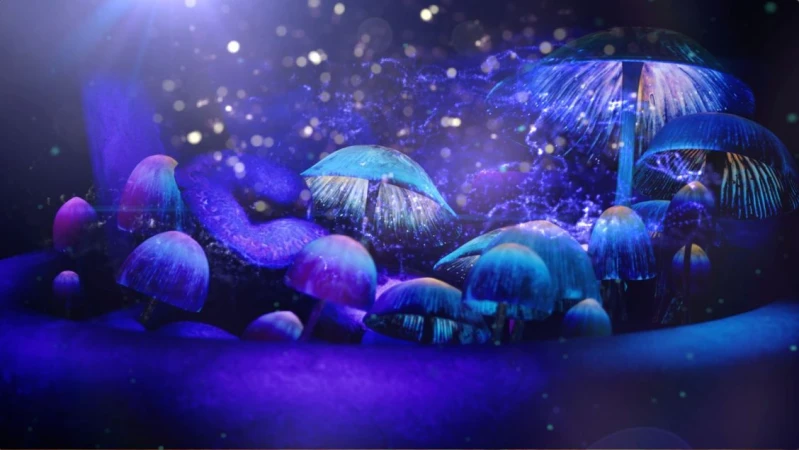 Glowing mushrooms with iridescent blue and purple caps in a dark, enchanting setting, illuminated by a soft, diffused light.