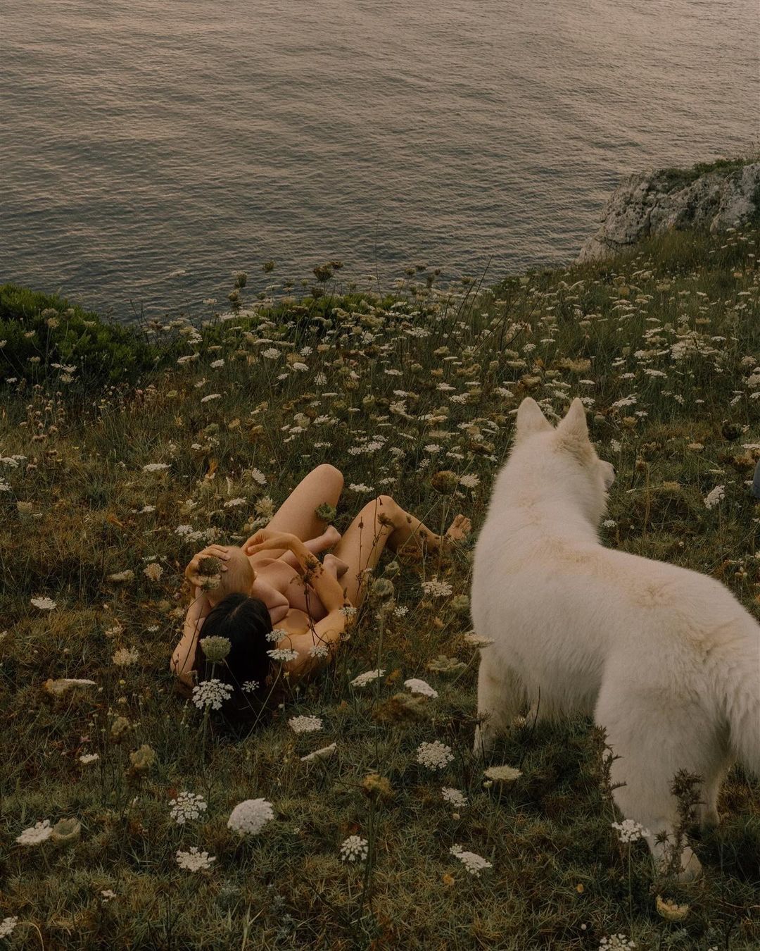 Nude woman reclines in a field of wildflowers near a white dog, with the sea in the background, creating a serene and natural scene.