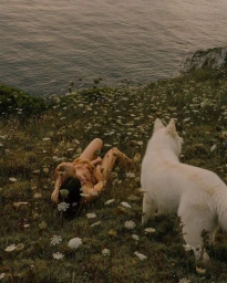 Mother and baby lying in a wildflower meadow near the ocean with a white dog standing nearby, photographed by Lisa Sorgini