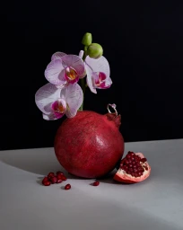 Close-up still life photography featuring a pomegranate, a pink orchid, and a diamond ring against a dark background.
