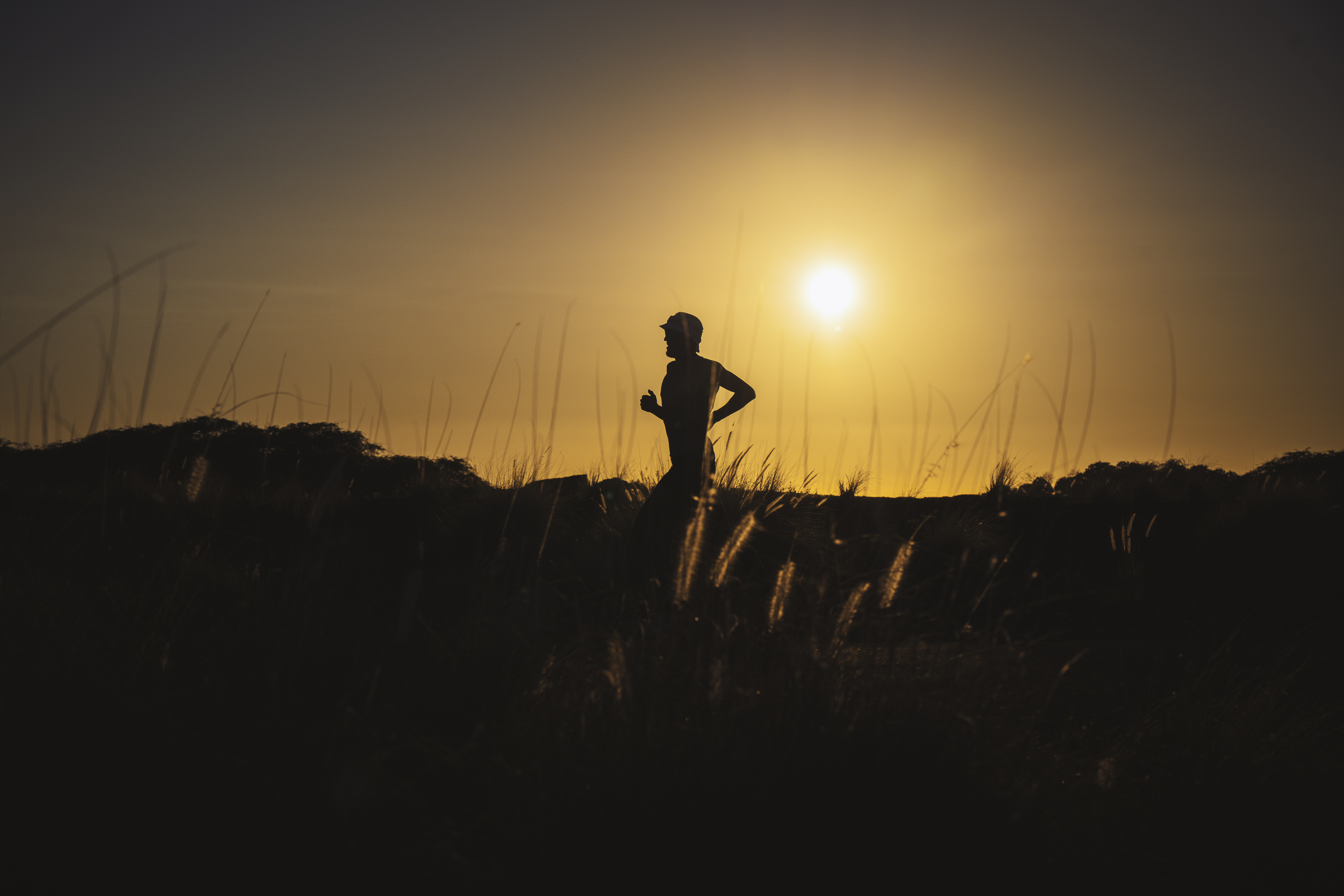 Silhouette of a jogger running through tall grass at sunset. The warm colors of the sky provide a scenic backdrop for this athletic activity.