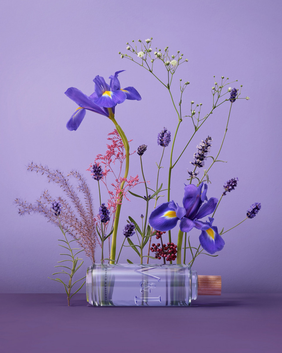 Floral still life featuring purple irises, lavender, and baby's breath arranged in a clear glass container on a purple backdrop.