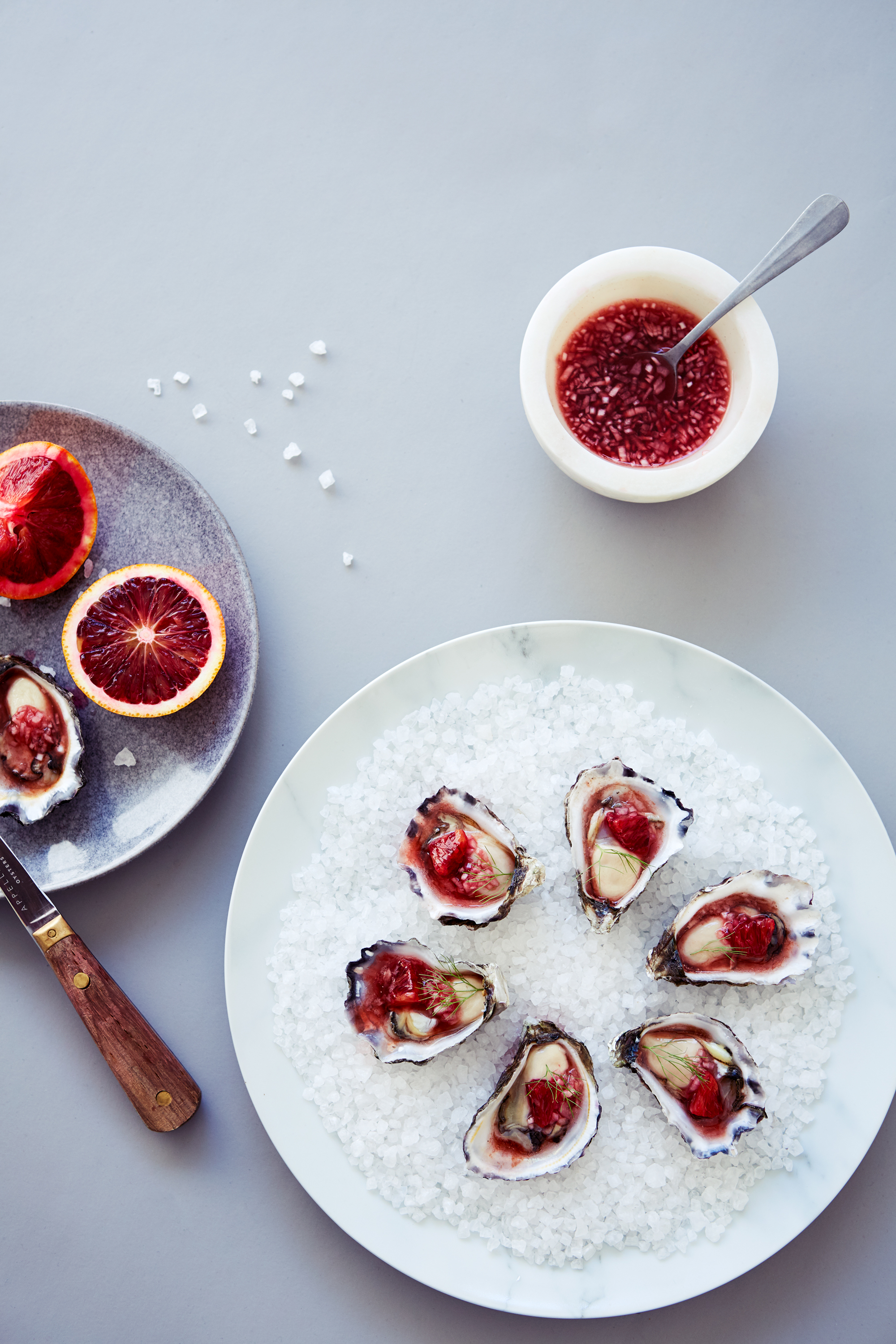 Overhead shot of oysters on a bed of salt with blood orange slices and a bowl of vinaigrette, arranged on a light gray surface.