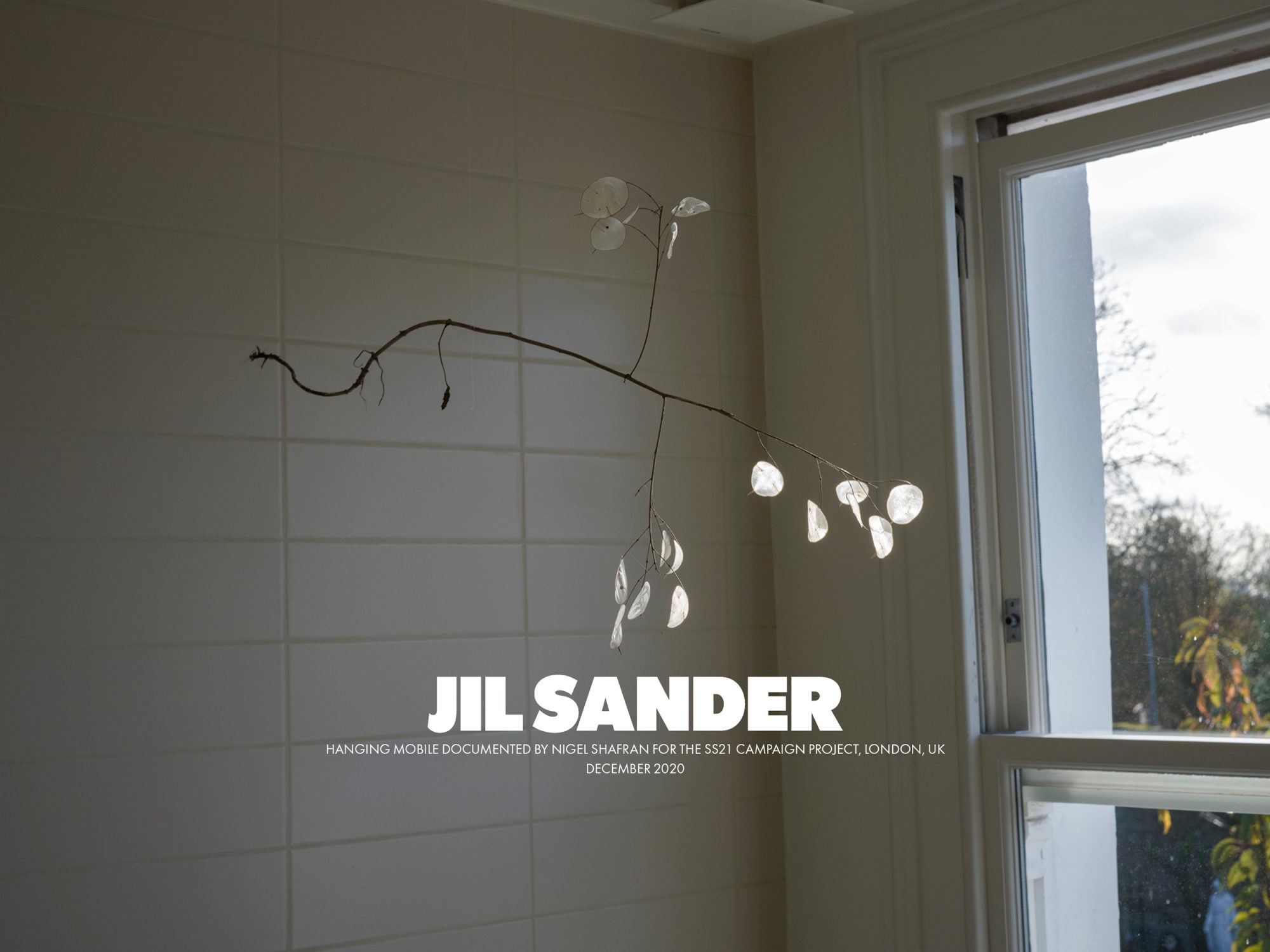 Interior shot of a plant mobile hanging from the ceiling against a tiled wall, near a window providing natural outdoor light.