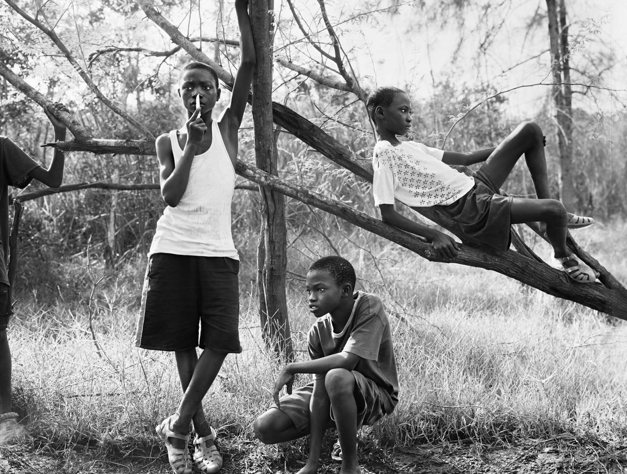 A black and white outdoor shot of four children of African descent in casual clothing. One child lies on a tree branch.