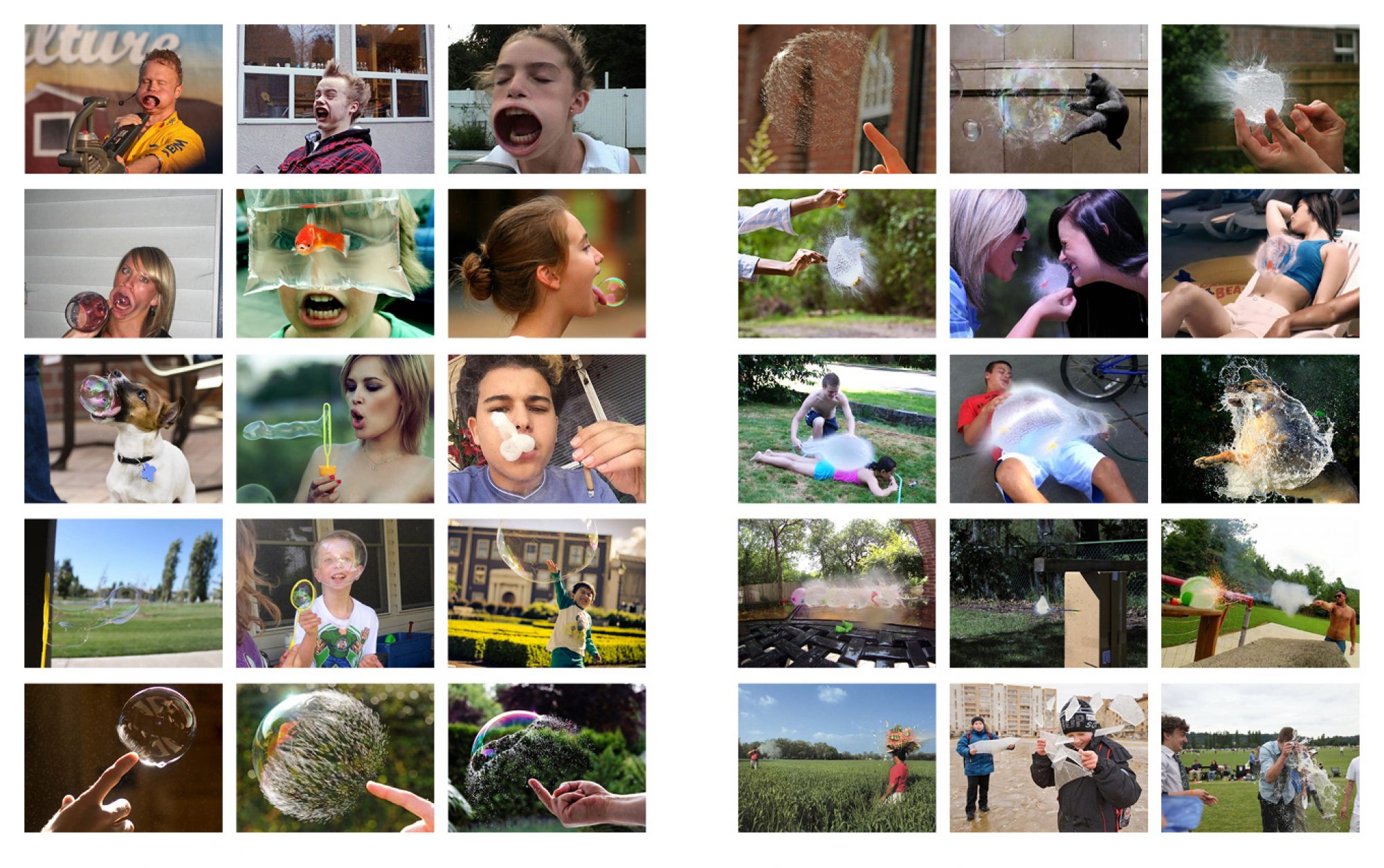 Compilation of images showcasing various individuals and animals interacting with bubbles in diverse settings, capturing moments of joy and wonder.