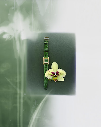 Luxury watch with green leather strap and golden face next to yellow orchid on a green and white background in a studio shot.
