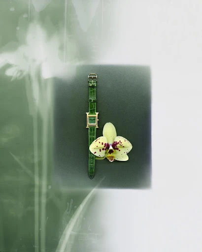 Luxury watch with green leather strap and golden face next to yellow orchid on a green and white background in a studio shot.