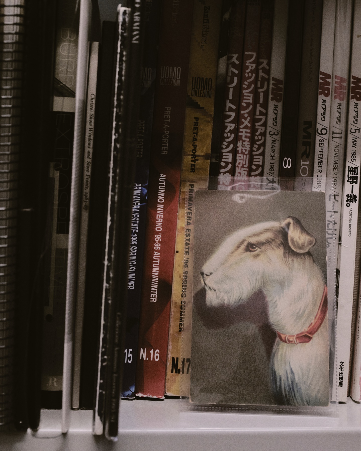 Vintage magazine display with a close-up of a drawing of a dog with a red collar, surrounded by magazines on a shelf.