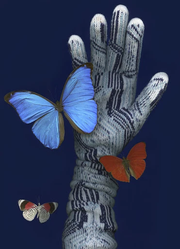 Mismatched winter gloves with blue, orange, and white butterflies against a dark blue background in an abstract studio shot.