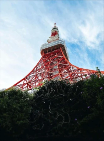 Wide low-angle view of the Tokyo Tower, a red and white lattice landmark, framed by dark green trees against a partly cloudy sky.