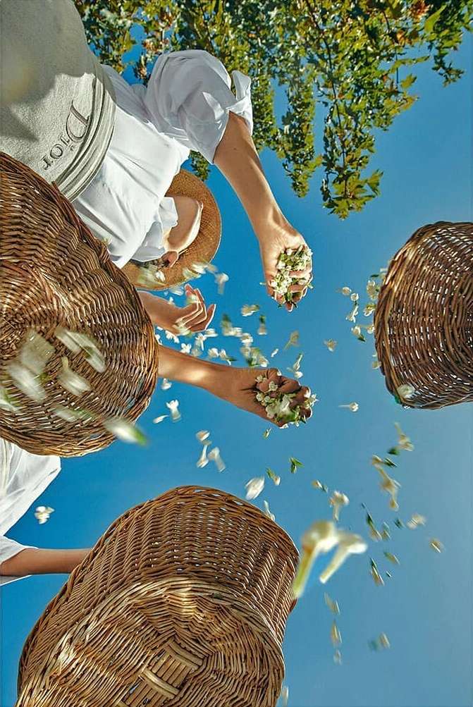 Low-angle shot of women scattering flower petals from wicker baskets against a clear blue sky, with green trees in the background.
