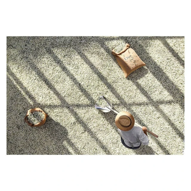 Overhead shot of an adult wearing a straw hat and working on a coffee bean farm with a metal shovel under the bright sun.