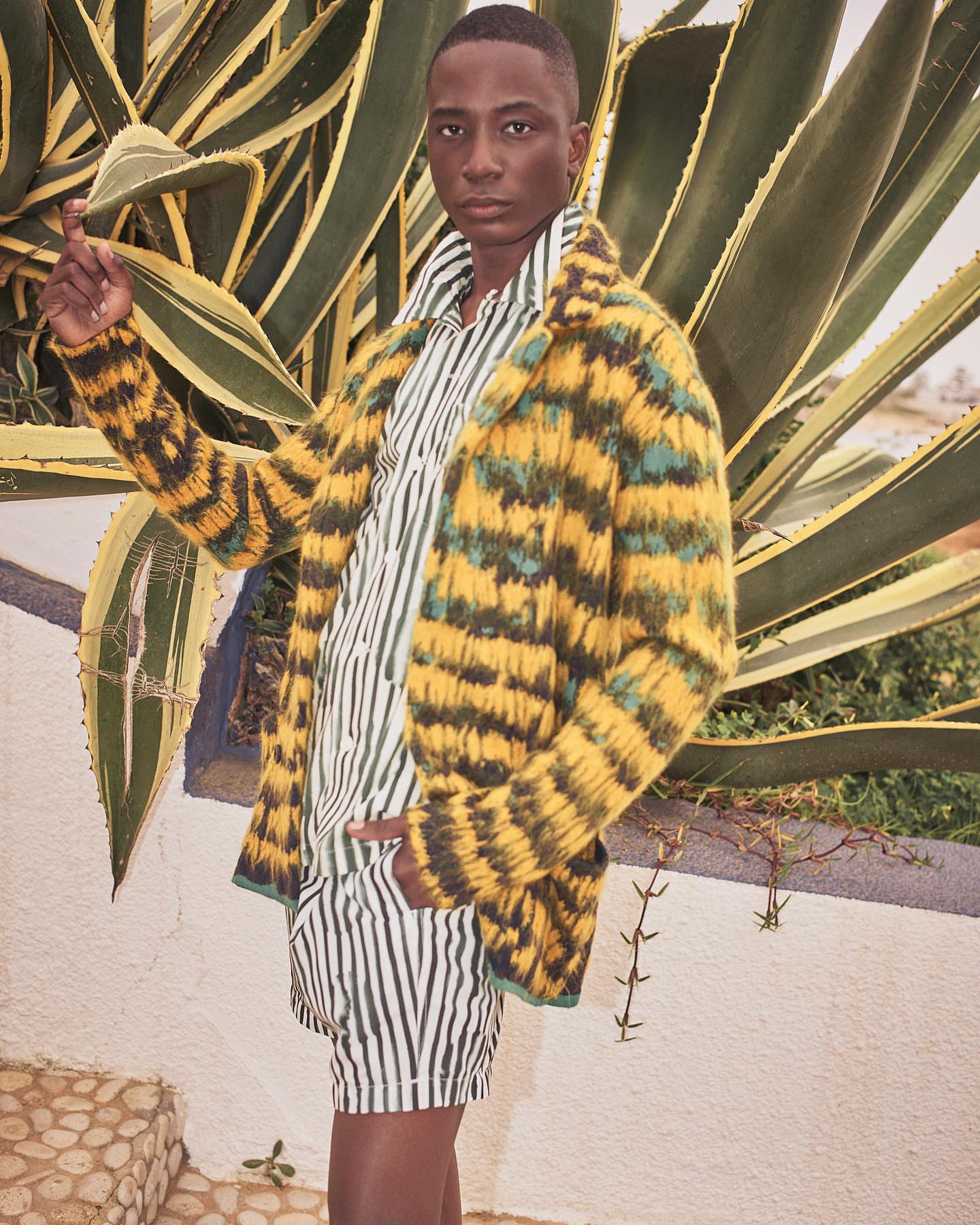 A fashionable adult Black male poses outdoors wearing a yellow patterned jacket, striped shirt and shorts, with a large agave plant behind.