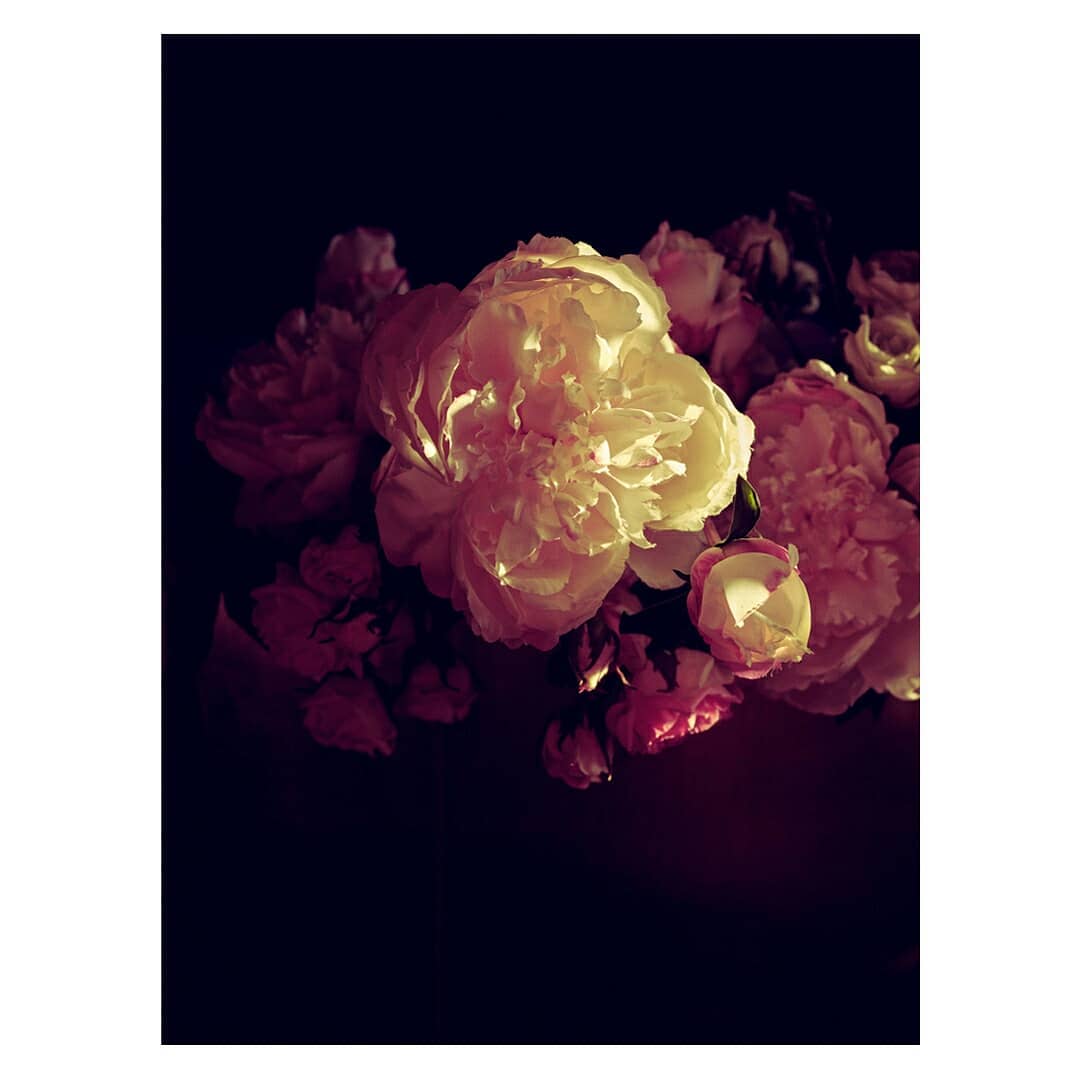 Floral arrangement of white and pink roses in a close-up shot against a dark background, emphasizing the soft textures and light contrast.