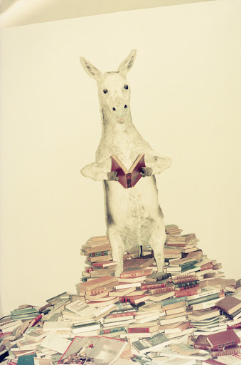 Illustration of a donkey standing on a pile of books and reading a book, against a white backdrop, featuring art and illustration elements.