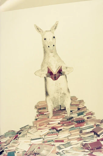 Illustration of a donkey standing on a pile of books and reading a book, against a white backdrop, featuring art and illustration elements.
