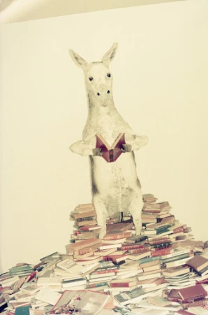 Illustration of a donkey standing on a pile of books and reading a book, against a white backdrop, featuring art and illustration elements.