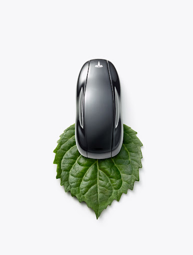 High-angle shot of a Tesla car model resting on a vibrant green leaf against a plain white background, showcasing automotive detail.