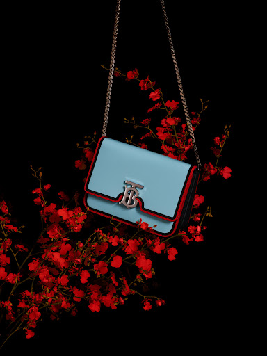 Fashion still life: light blue Burberry Lola bag with silver chain strap and logo set against red flowers and a black background.