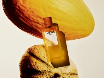 Loewe Solo Mercurio perfume bottle with wooden cap resting vertically against a light background with organic shapes.