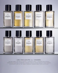 Ten glass Chanel perfume bottles arranged on two glass shelves against a pale grey background.