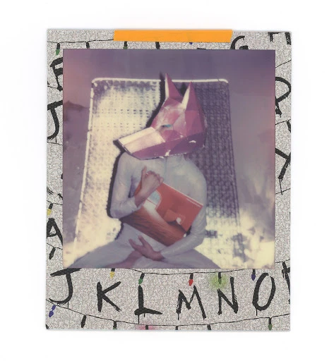Person in light-grey bodysuit and red geometric animal mask holds book in a Polaroid photo against ABC background.