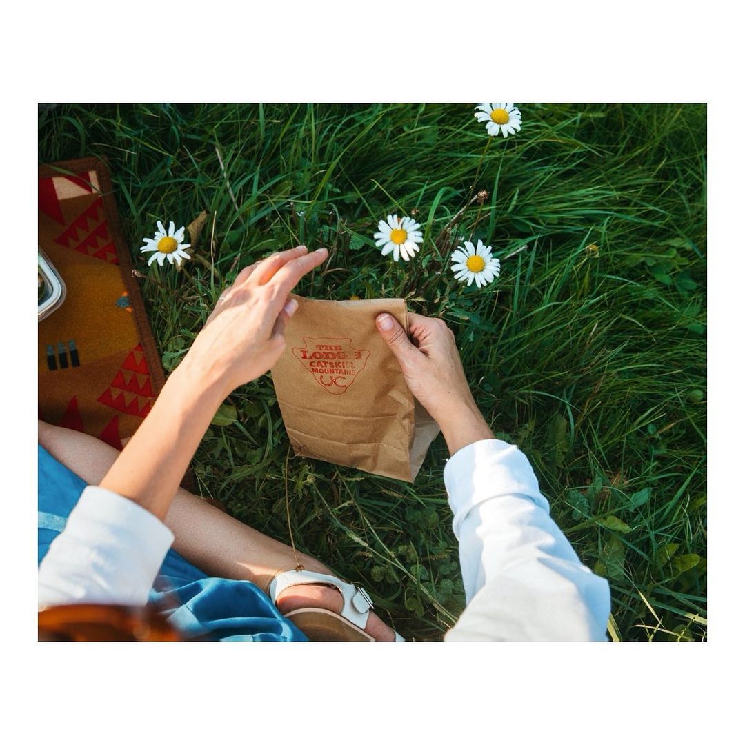 Overhead shot of a woman's hands holding a branded brown bag in grassy field with daisies, picnic blanket at side, sunny daylight.