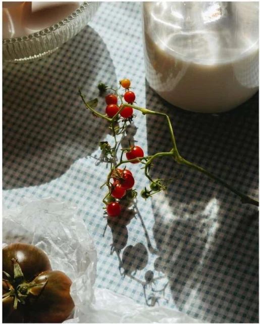 Still life of cherry tomatoes on vine, brown tomatoes, and a jug of milk on a blue and white checkered tablecloth.
